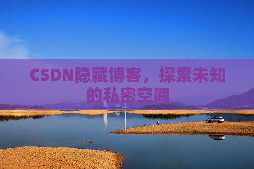 CSDN隐藏博客，探索未知的私密空间